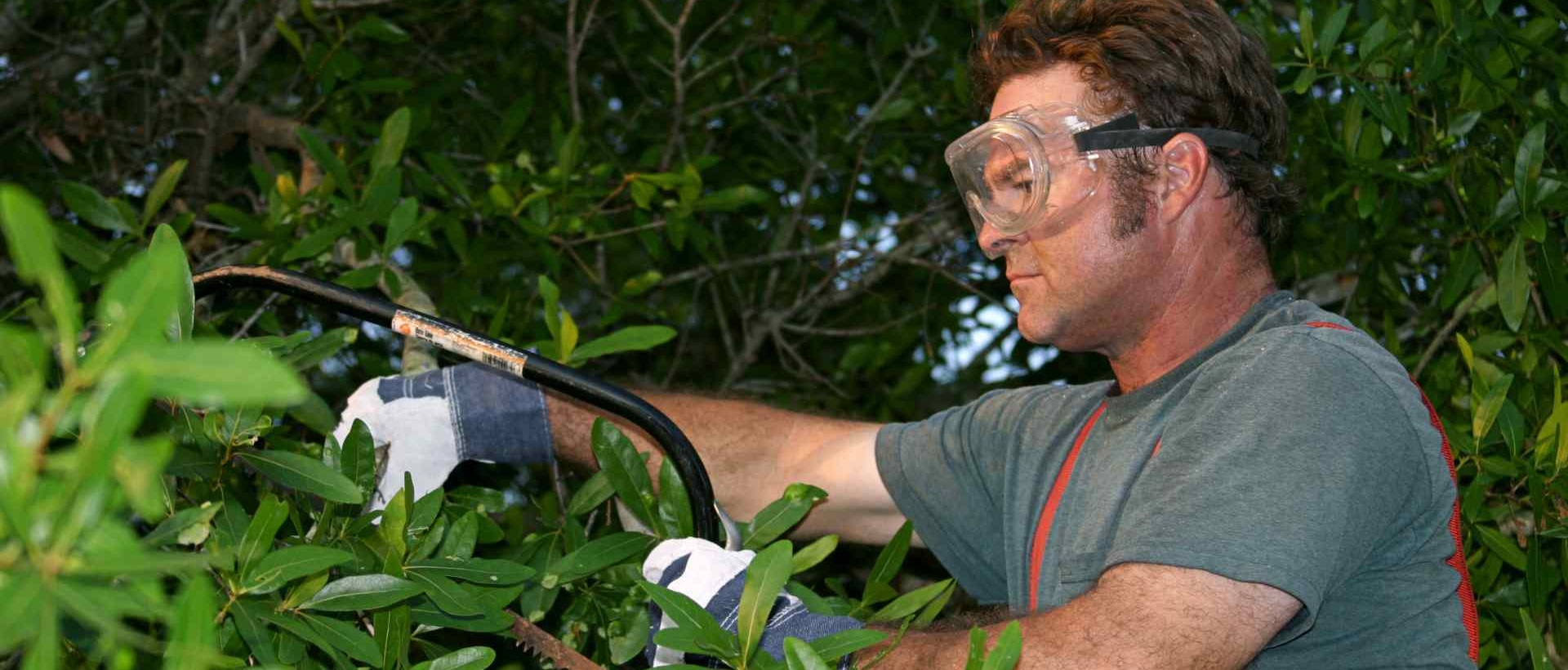 garden clearance TW2